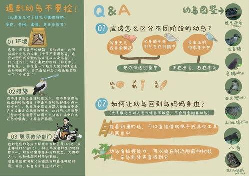 吃瓜大赛宣传词语,吃瓜大赛,全民狂欢,瓜香四溢!